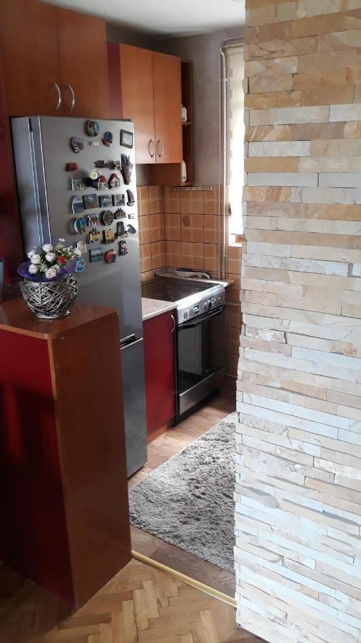 Apartment Niva ズラティボール エクステリア 写真