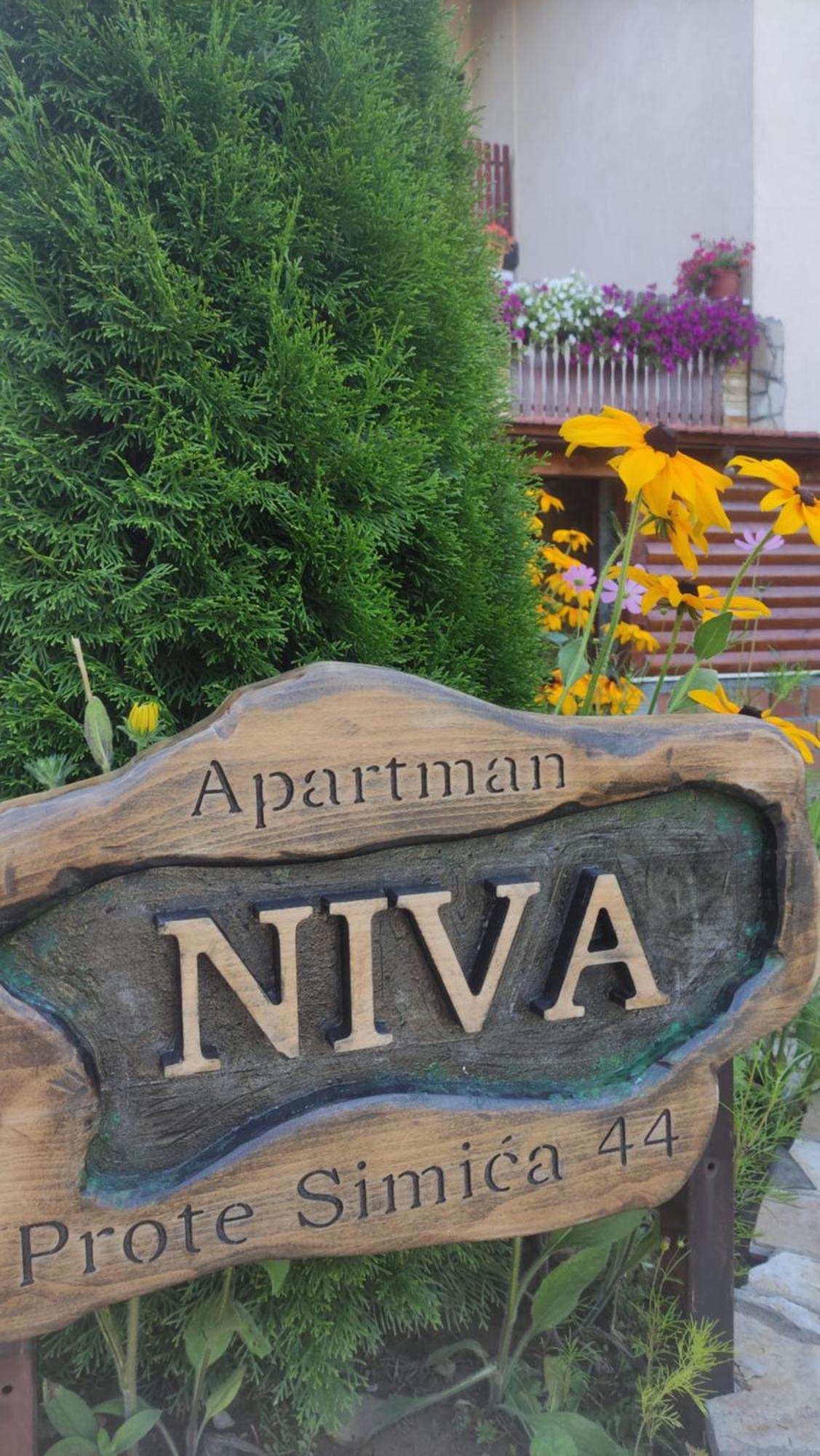 Apartment Niva ズラティボール エクステリア 写真